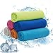 Algopix Similar Product 9 - WShiG 6 Pack Cooling Towel Super