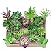 Algopix Similar Product 19 - KUUQA 16 Pcs Mixed Artificial Succulent