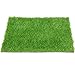 Algopix Similar Product 5 - QYH Artificial Grass Doormat Indoor