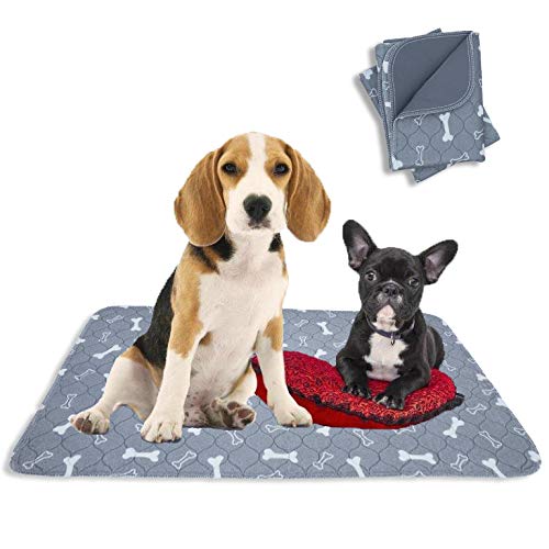 Algopix Similar Product 2 - Washable Pee Pads for Dogs