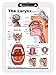 Algopix Similar Product 13 - Blue Tree Publishing Larynx poster and