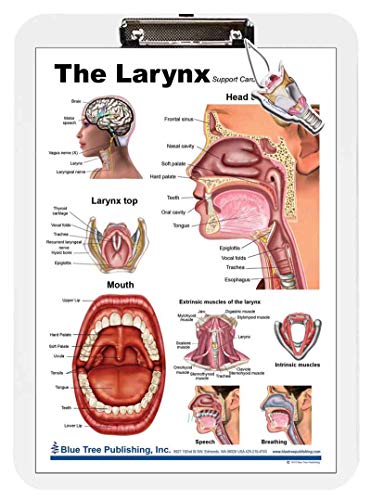 Algopix Similar Product 3 - Blue Tree Publishing Larynx poster and