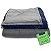 Algopix Similar Product 9 - Quility Weighted Blanket for Adults 