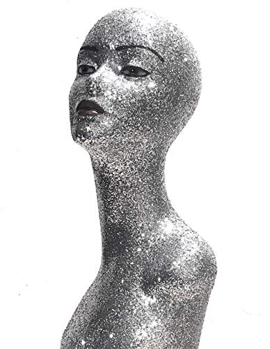 Algopix Similar Product 10 - Silver female Mannequin Head