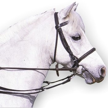 Algopix Similar Product 1 - William Hunter Equestrian Padded