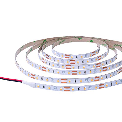 Algopix Similar Product 12 - Armacost Lighting 82 ft Soft White