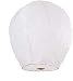 Algopix Similar Product 13 - Chinese Lanterns 30Pack White Fully