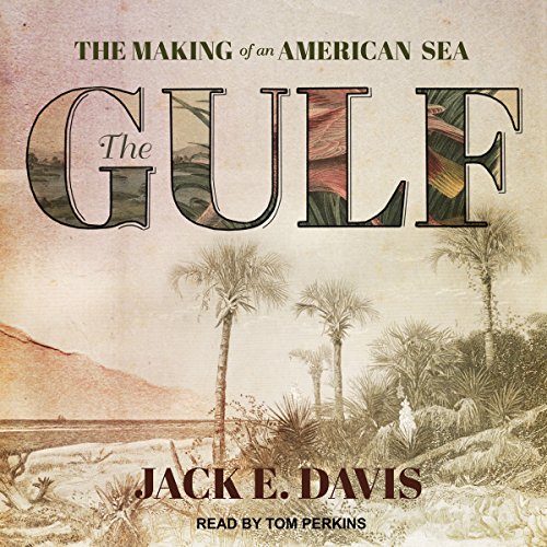 Algopix Similar Product 3 - The Gulf: The Making of an American Sea