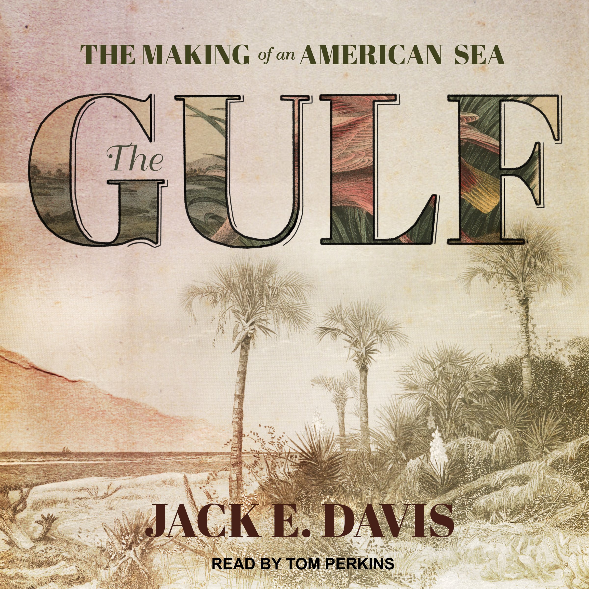 Algopix Similar Product 12 - The Gulf: The Making of an American Sea