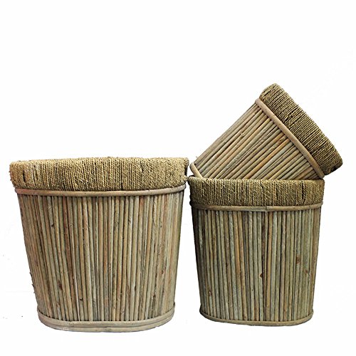 Algopix Similar Product 10 - Benjara Well Designed Oval Willow