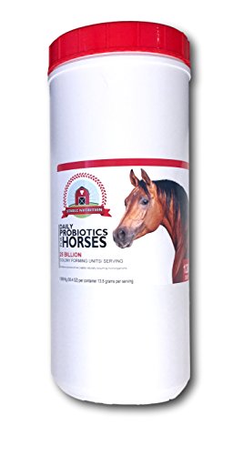 Algopix Similar Product 8 - Stable Nutrition THE BEST Probiotics