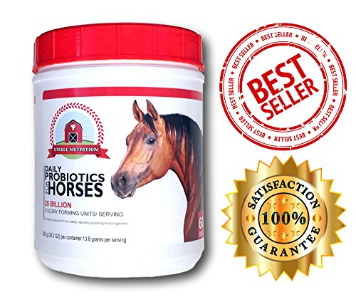 Algopix Similar Product 14 - Stable Nutrition THE BEST Probiotics