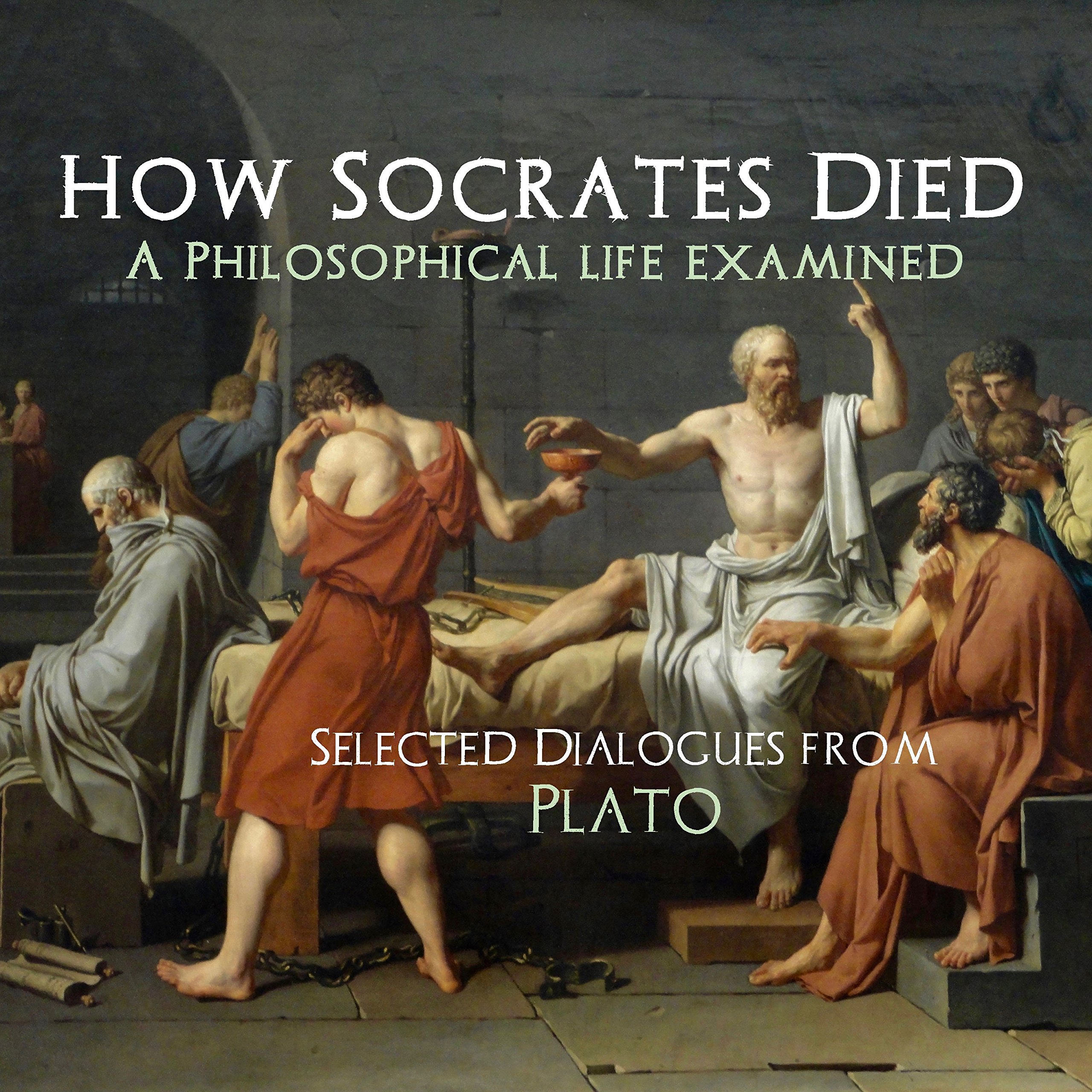 Algopix Similar Product 16 - How Socrates Died A Philosophical Life