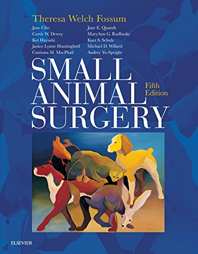 Algopix Similar Product 20 - Small Animal Surgery E-Book