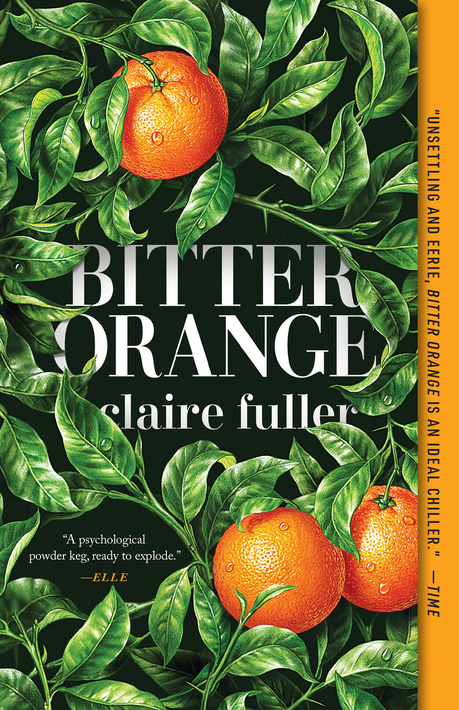 Algopix Similar Product 20 - Bitter Orange