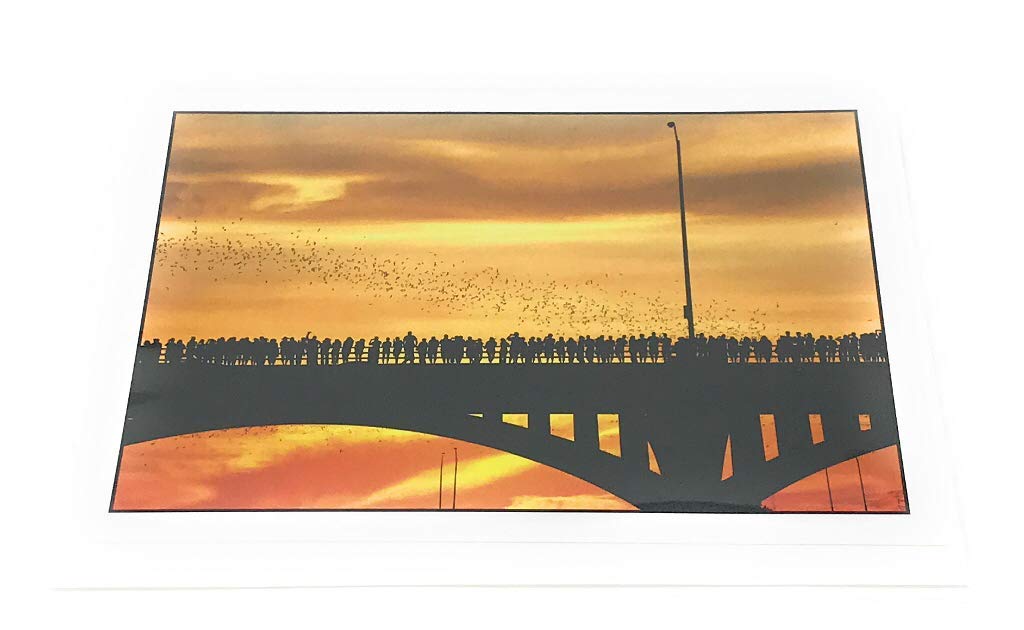 Algopix Similar Product 7 - AUSTIN BLANKS Postcard Soco Bats, 1 EA