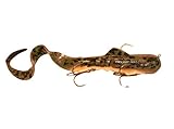 Algopix Similar Product 16 - Tackle Industries MSDC11 CamoD Musky