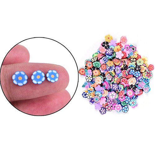 Algopix Similar Product 3 - 1000 Pieces Fruit Pattern Slices