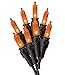 Algopix Similar Product 9 - HALLOWN MINI LIGHTS ORNG