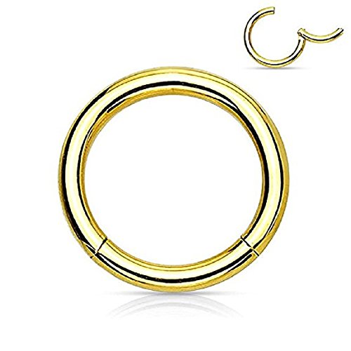 Algopix Similar Product 4 - Hinged Seamless WildKlass Jewely Septum