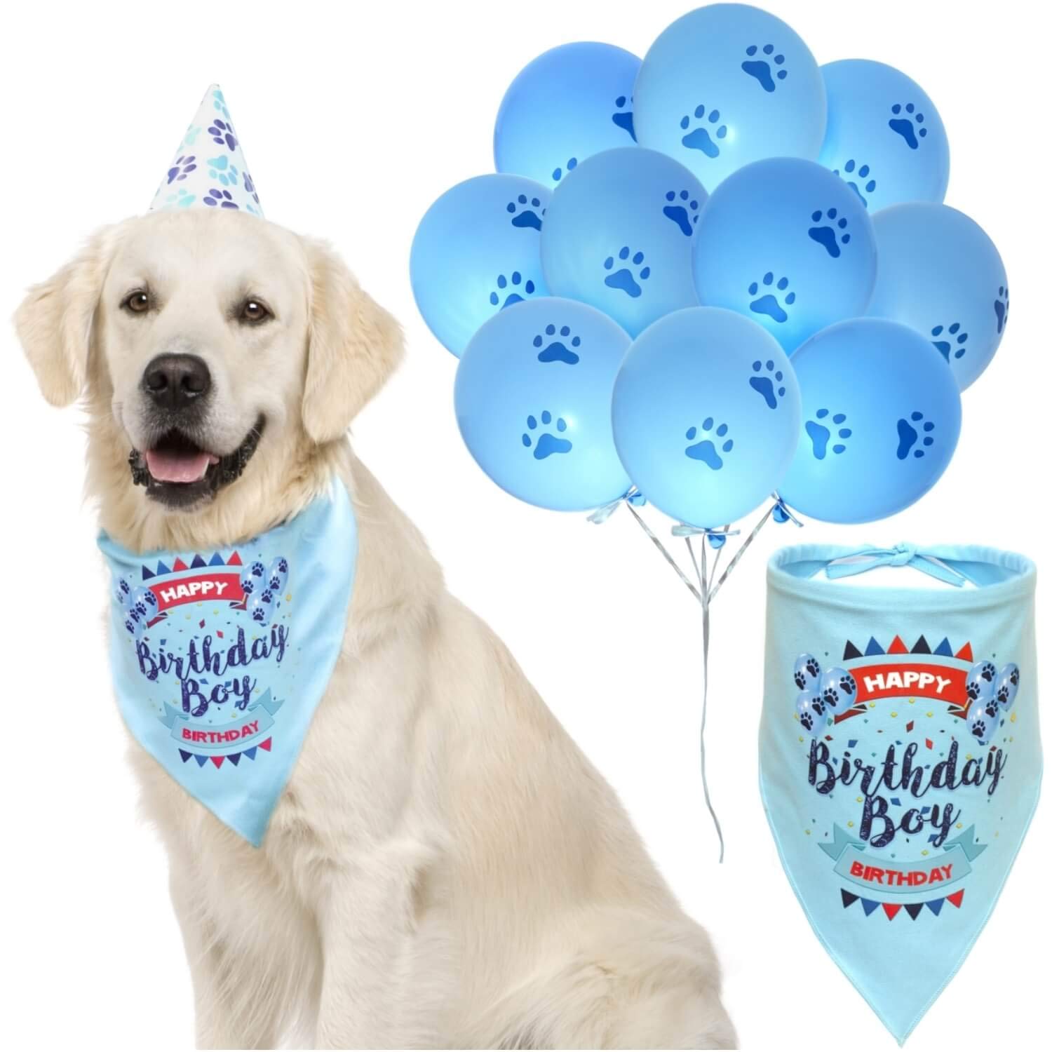 Algopix Similar Product 2 - Cloudy Come CoN Dog Birthday Boy