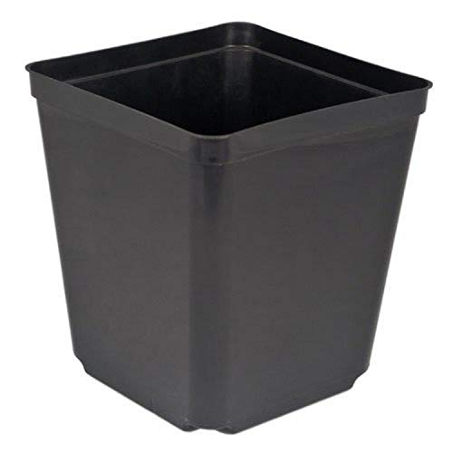 Algopix Similar Product 6 - 55 Square Nursery Pot 23 quart