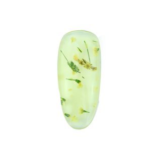 Algopix Similar Product 12 - Love In Bloom LEDUV Soak Off Gel