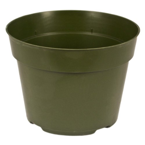 Algopix Similar Product 9 - McConkey 6 Round Green Nursery Pot