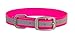Algopix Similar Product 1 - Dublin Dog 67948 KOA Reflex Blue Dog