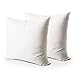 Algopix Similar Product 14 - EDOW Throw Pillow Insert Set of 2 Down