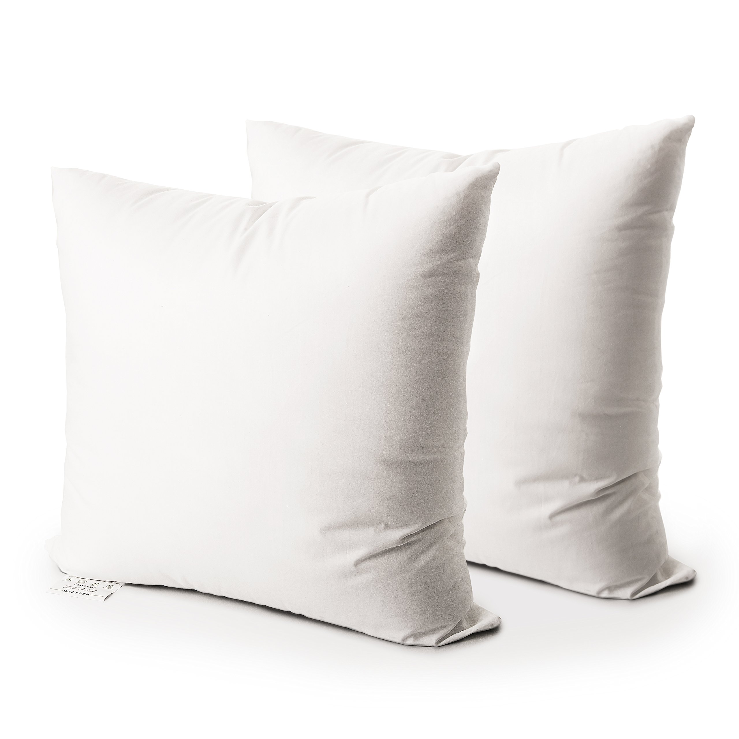 Algopix Similar Product 7 - EDOW Throw Pillow Insert Set of 2 Down