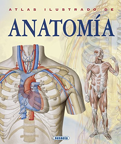 Algopix Similar Product 15 - Atlas Ilustrado De Anatomia Spanish