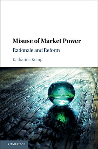 Algopix Similar Product 5 - Misuse of Market Power Rationale and