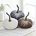 Algopix Similar Product 4 - Set of 3 Small Velvet Pumpkins autumn