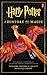 Algopix Similar Product 3 - Harry Potter A History of Magic The