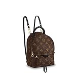 Algopix Similar Product 13 - Louis Vuitton Palm Springs Mini