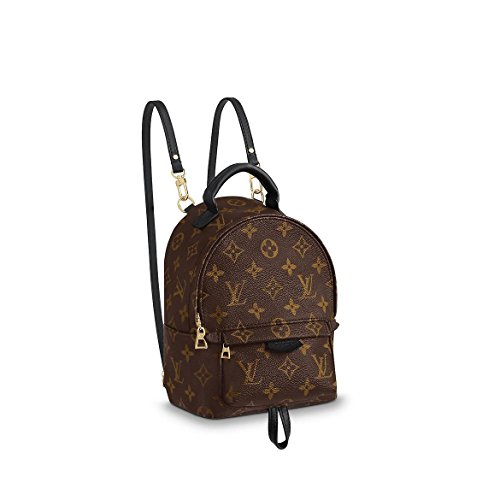 Algopix Similar Product 14 - Louis Vuitton Palm Springs Mini