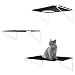 Algopix Similar Product 5 - Cat Shelves Cat Steps Cat Perch Cat