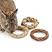 Algopix Similar Product 6 - Niteangel 3Pack of Natural Chew Ring