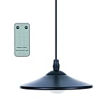 Algopix Similar Product 15 - Tomshine 3W Solar Powered Pendant