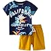Algopix Similar Product 1 - Frogwill Boys California Tee and