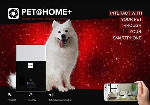 Algopix Similar Product 4 - iPATROL Alexa Enabled PetHome Pet