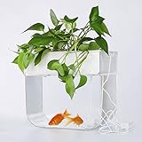 Algopix Similar Product 5 - Joyfay Aquaponic Fish Tank Fish Tank