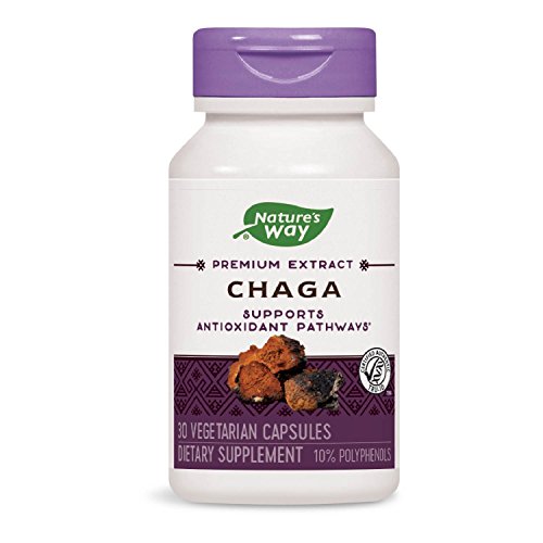 Algopix Similar Product 14 - Natures Way Premium Extract Chaga
