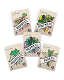 Algopix Similar Product 6 - Microgreens Seeds Kit 100 Non GMO