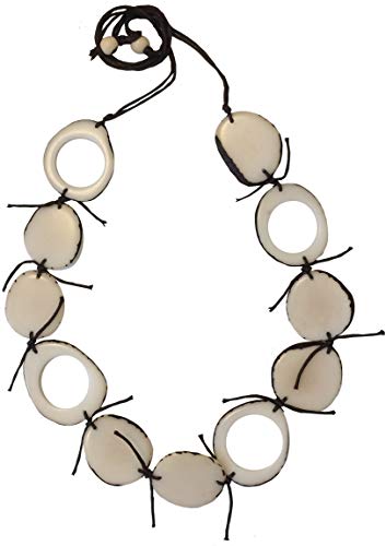 Algopix Similar Product 12 - Indigenous Ivory Palm tagua Seed