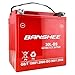 Algopix Similar Product 4 - Banshee Sealed AGM SLA Battery fits