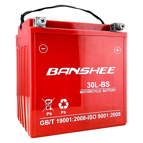 Algopix Similar Product 2 - Banshee Sealed AGM SLA Battery fits