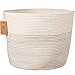 Algopix Similar Product 2 - Wilton Make Your Cake Beautiful Icing