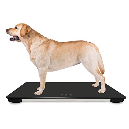 Algopix Similar Product 14 - TeaTime 26L x 18W Veterinary Scale